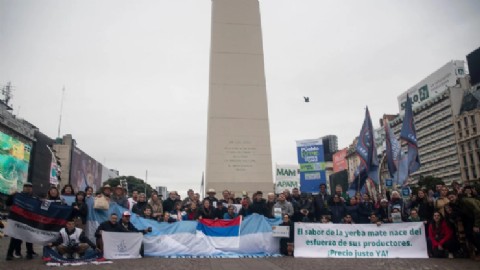 Mientras los tareferos de Misiones sufren, el ministro de Milei festeja