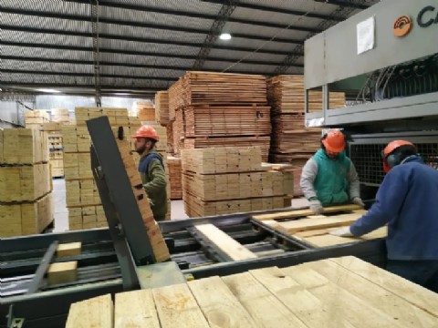 Quebró una histórica maderera y más de 130 trabajadores quedaron sin empleo