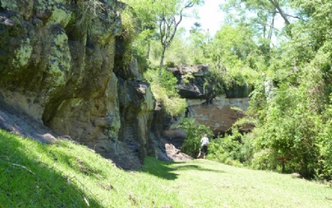 La Provincia se prepara para una jornada integral de salud, bienestar y conciencia ambiental con “Misiones Respira”
