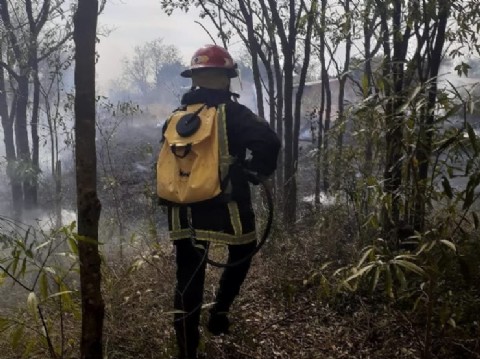 Ante el alto riesgo de incendios en toda la provincia, el Gobierno insta a evitar el uso del fuego