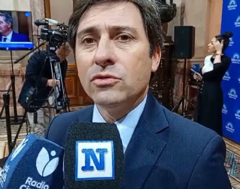 VIDEO | El senador Goerling Lara, del PRO, cuestionó al Gobierno por el caso de la jueza Michelli