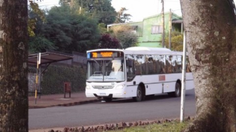 Oberá: harán una audiencia pública por un pedido de aumento del boleto urbano