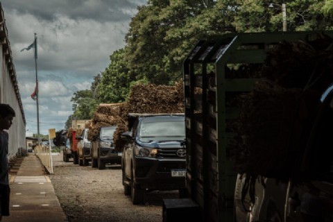 Misiones fijó el precio del tabaco con un acuerdo que fortalece la cadena productiva