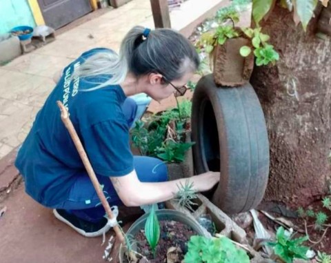 Eldorado: se llevaron a cabo acciones de prevención contra el mosquito Aedes aegypti