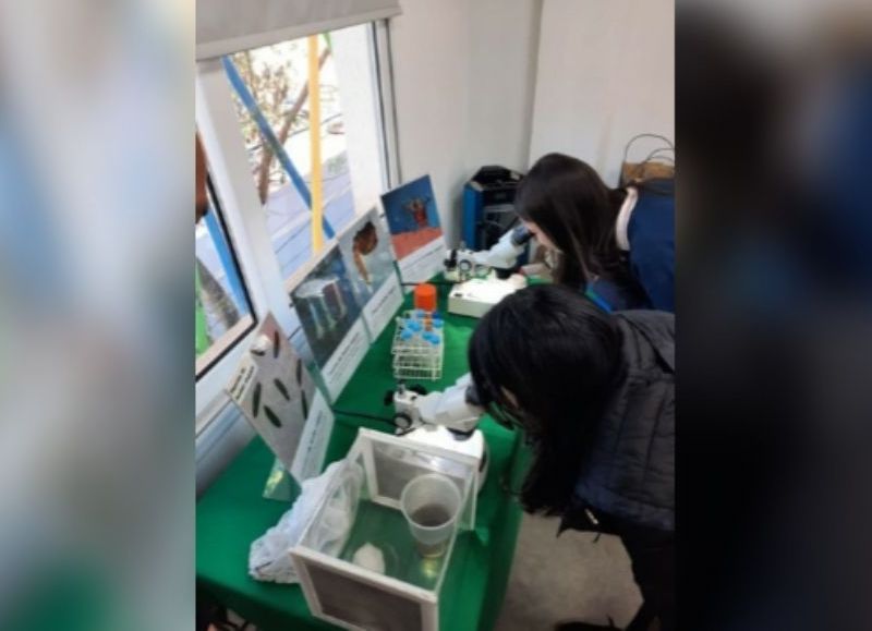 La Escuela de Robótica Misiones y su conexión con los Premios Nobel 2024