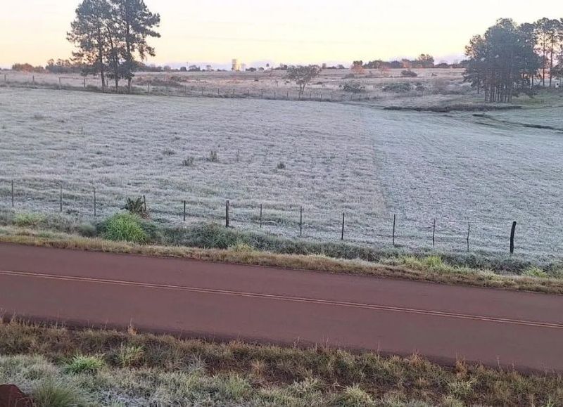 La primera helada del año cubrió la provincia de blanco