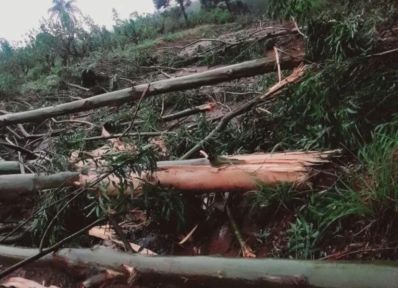 Temporal causa estragos en una colonia cercana a San Pedro