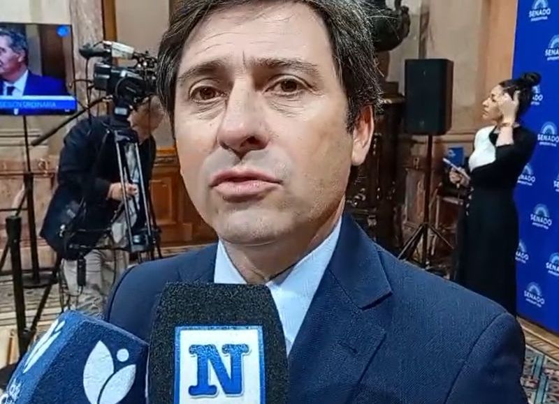 VIDEO | El senador Goerling Lara, del PRO, cuestionó al Gobierno por el caso de la jueza Michelli