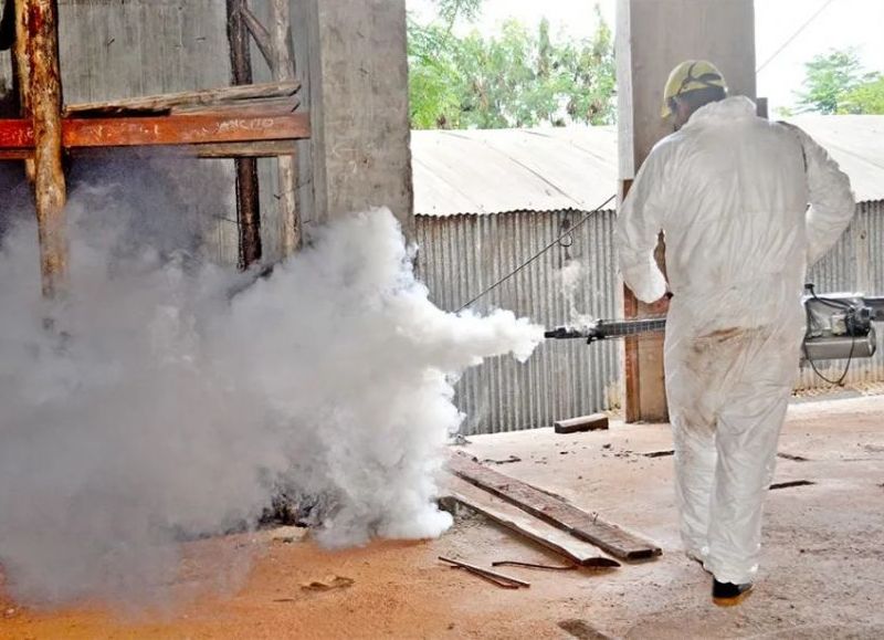 Aumento alarmante de casos de dengue en Oberá: autoridades intensifican acciones