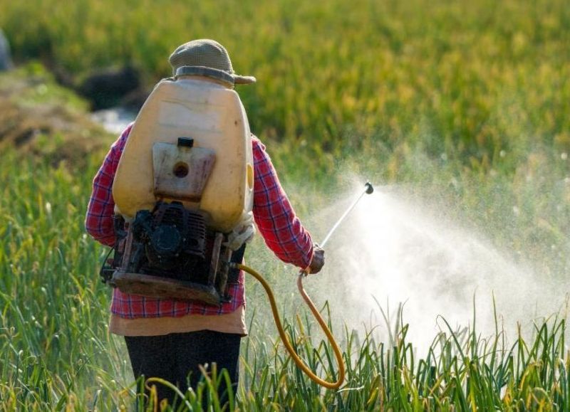 Crisis ambiental: monocultivo y glifosato contaminan las aguas