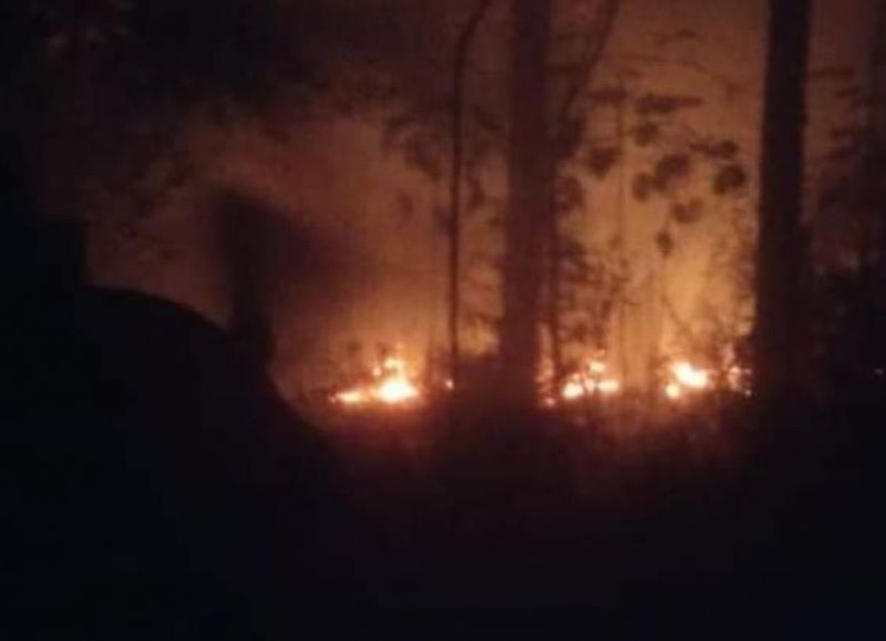 Lograron sofocar los incendios de malezas y pinares en Colonia Aurora, Puerto Esperanza y Posadas