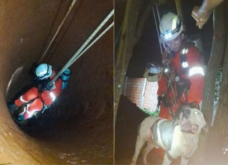 Bomberos Voluntarios de Iguazú rescataron a un perro atrapado en un pozo