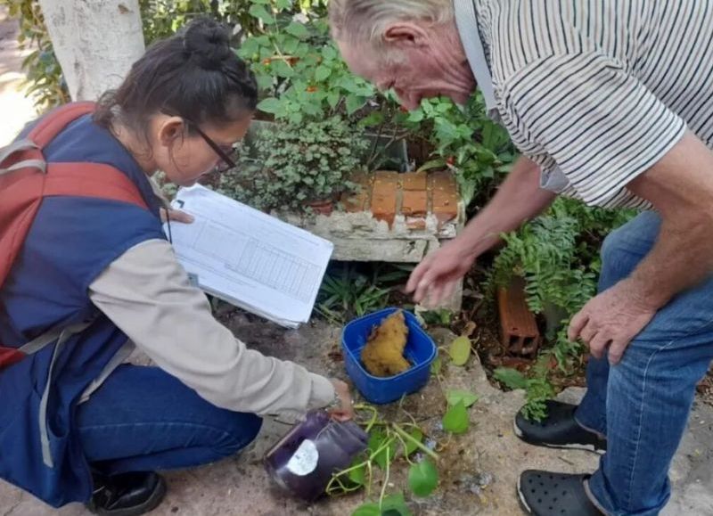 Refuerzan acciones contra el dengue en diversos puntos de la provincia