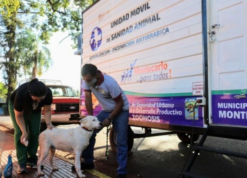Más de 1300 mascotas fueron esterilizadas en Montecarlo gracias a la gestión de Zoonosis Municipal