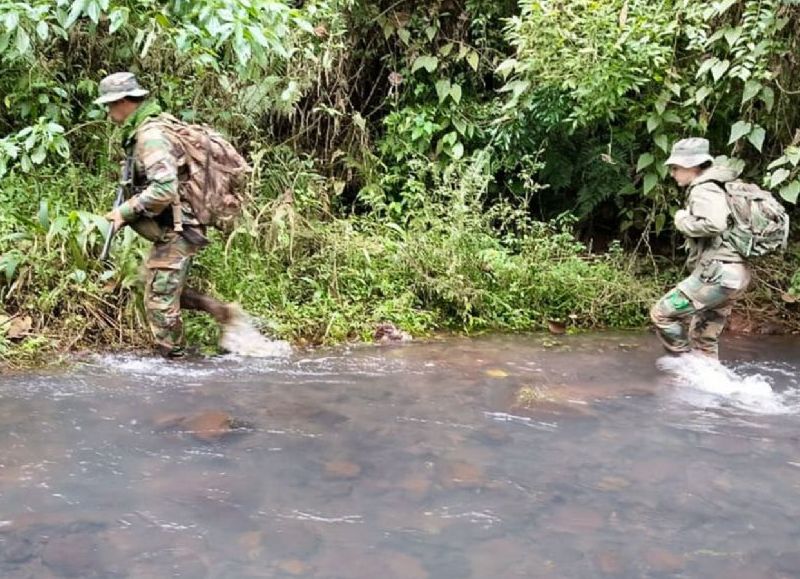 Megaoperativo contra la caza furtiva en la Reserva de Biosfera Yabotí
