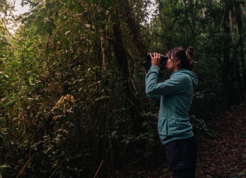 VIDEO | La Provincia celebrará el primer encuentro internacional de observación de aves
