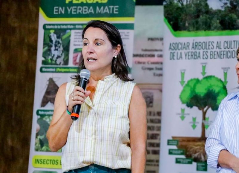 La Provincia promueve la producción orgánica para una yerba mate más rentable y sostenible