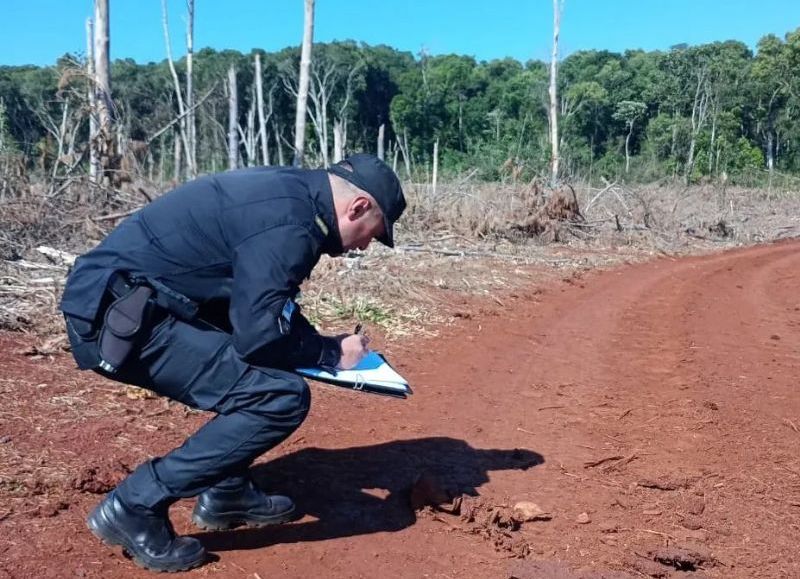 Restos óseos hallados en un basural podrían pertenecer a mujer desaparecida hace más de un año