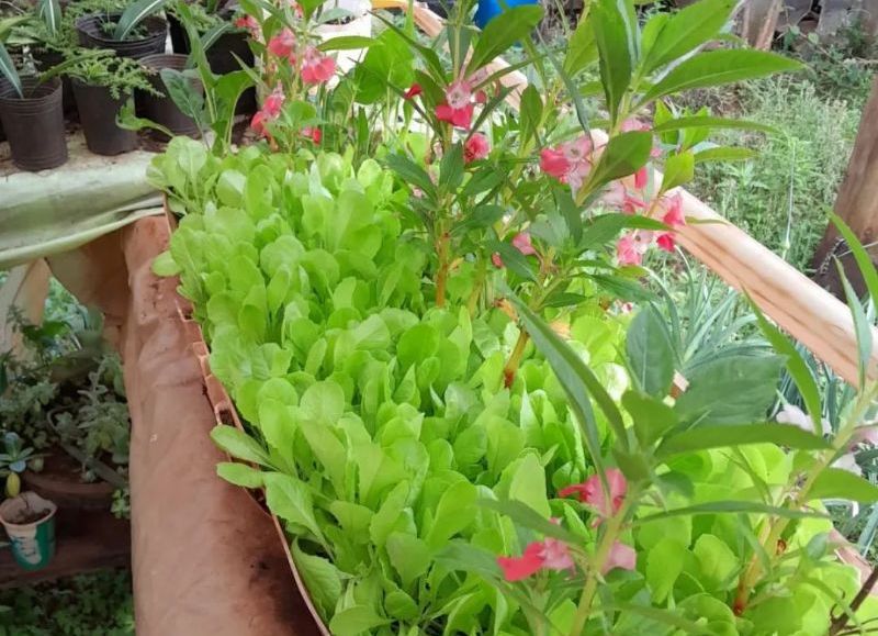 Anuncios, coberturas y eventos