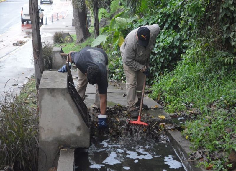 Tareas de limpieza tras las lluvias