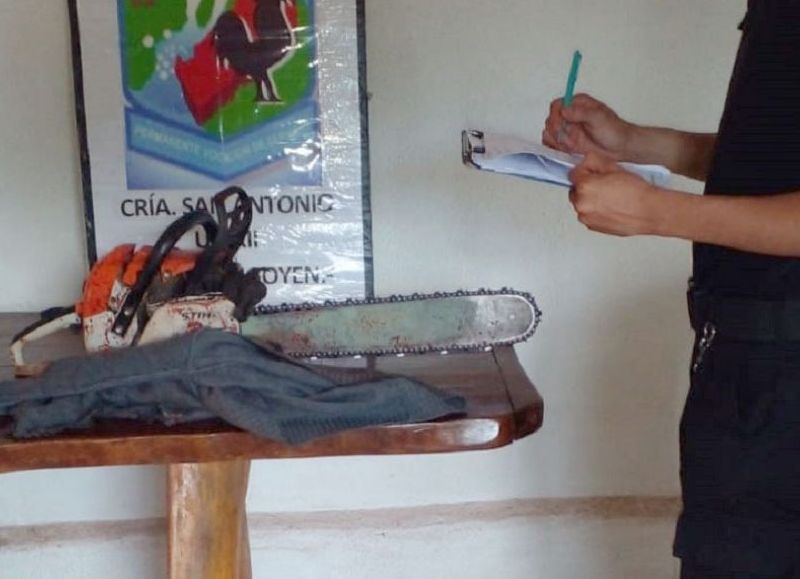 Podrían declarar inimputable a un hombre que atacó con motosierra a otros 2 en San Antonio