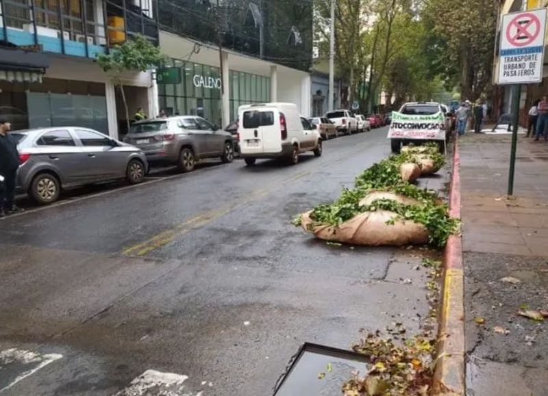 Productores yerbateros de Misiones se movilizaron en Posadas