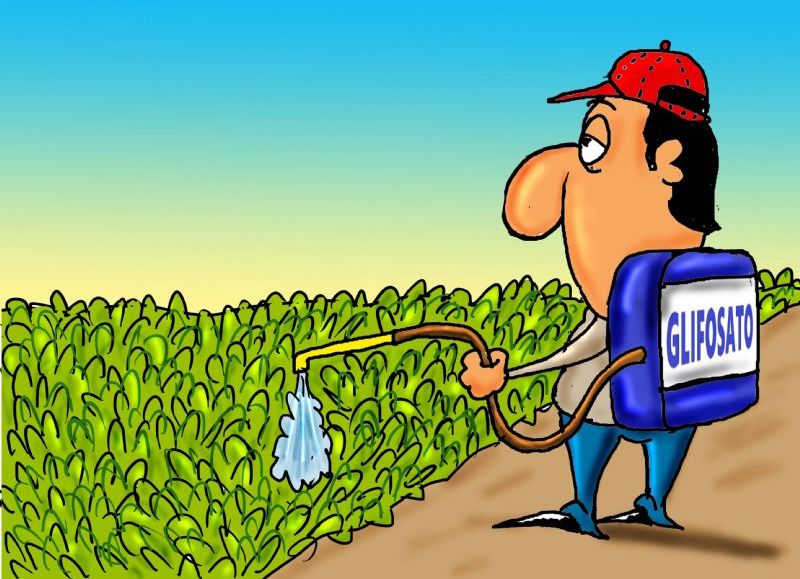 Tire y afloje por el uso del glifosato